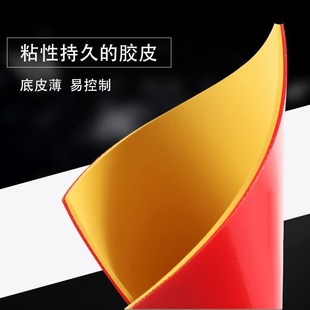 锐科特卡博尔普及套胶乒乓球胶皮球拍反胶套胶初学者训练套