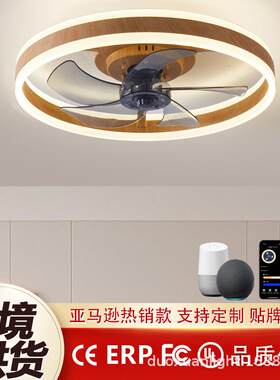 Alexa音箱控110v风扇吸顶灯卧室电扇灯餐厅客厅智能语音控制