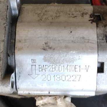 代替Boden齿轮油泵 油泵 BAP2B0D14T0E1-V 品质保证