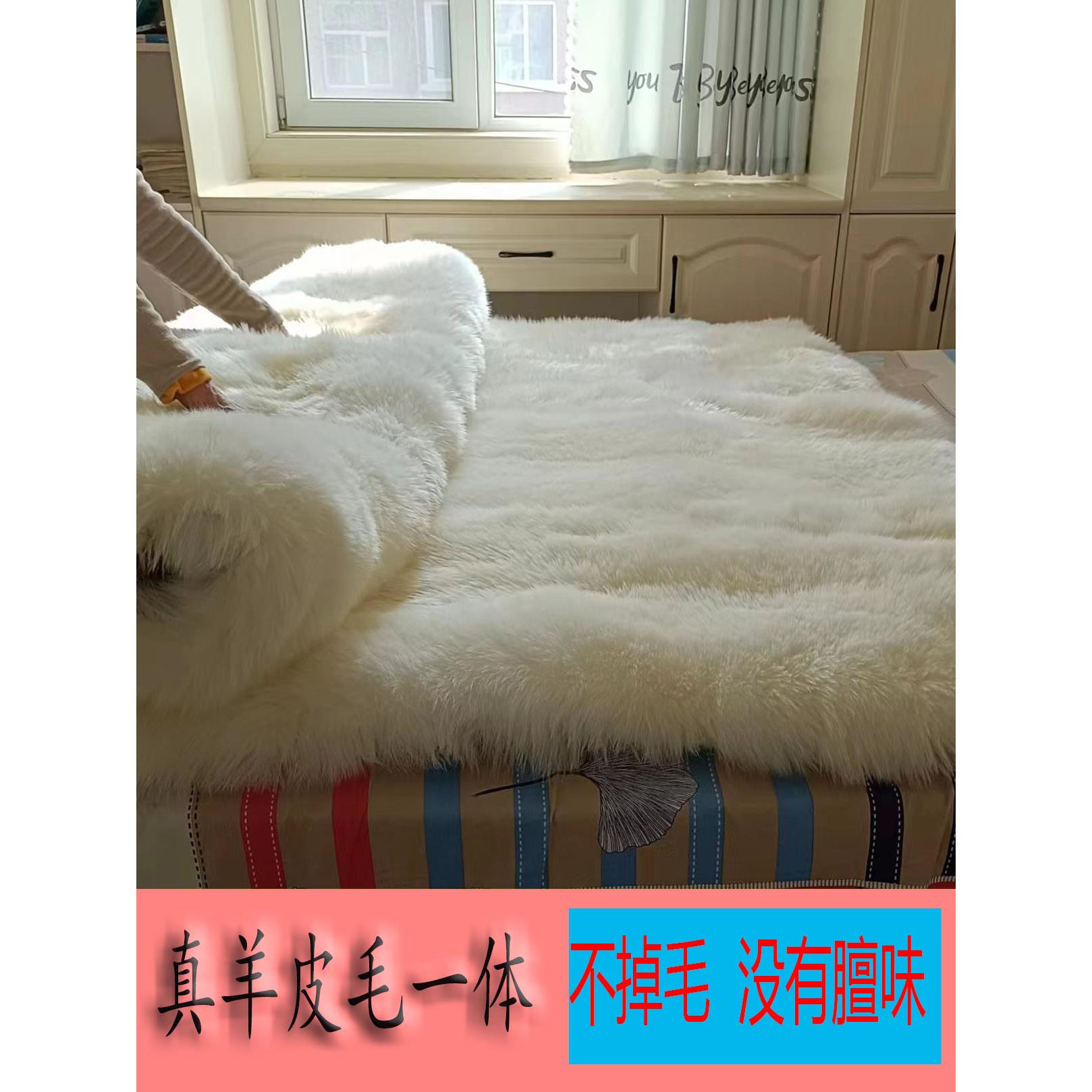澳洲纯羊皮褥子单双人皮毛一体加厚保暖羊毛床毯防潮防寒学生床垫