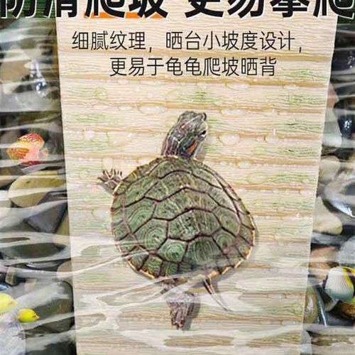 爬宠养乌龟晒背台爬梯休息平台高水位浮台深水爬台爬坡浮岛大爬架