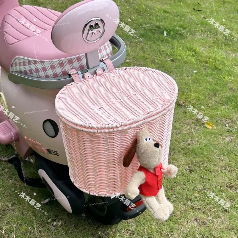 电动车后置车筐电瓶车后车筐娄艾玛雅迪带盖加大放头盔放东西神器