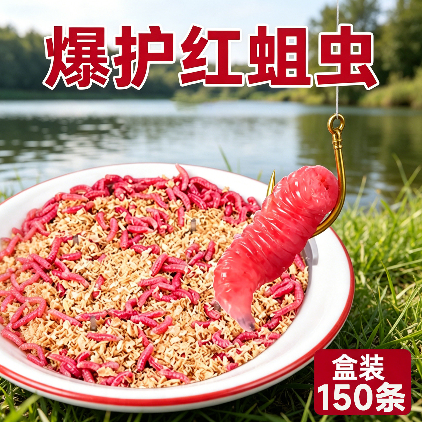 鲜活红蛆虫野钓鲫鱼爆护活饵