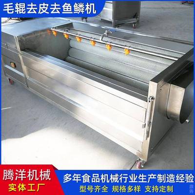 果蔬清洗去皮机土豆去皮清洗机小型削土豆皮机器毛辊清洗机设备