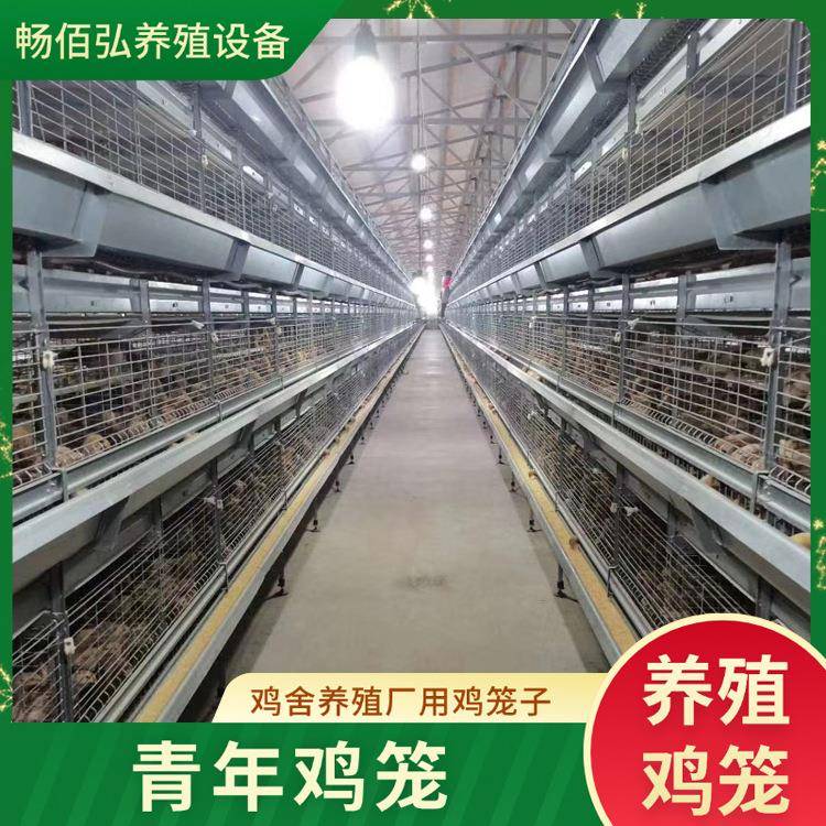 青年鸡全自动框架养鸡笼鸡舍养鸡场层叠式育雏设备四层育雏鸡笼