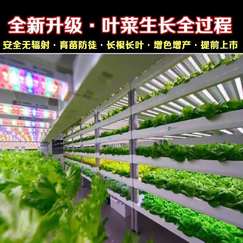 T20LED植物灯管 花卉上色加UV多肉补光灯水培蔬菜花架 植物生长灯