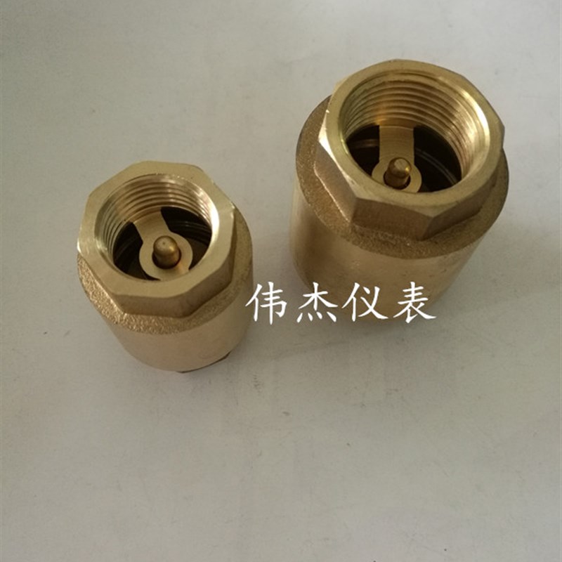 立式止回阀全铜加厚水泵水管水表C止逆阀弹簧单向阀4分6分自来水