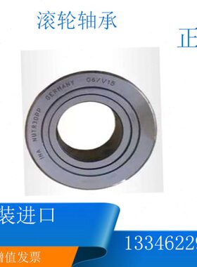 德国依纳INA进口轴承F-22985.1  F-214101  F-88544.01 F-204783
