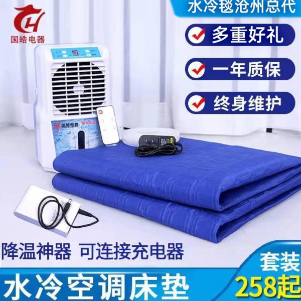 国皓水冷床垫宿舍学生夏单人高烧降温冰垫水凉席电冷毯凉爽垫家用