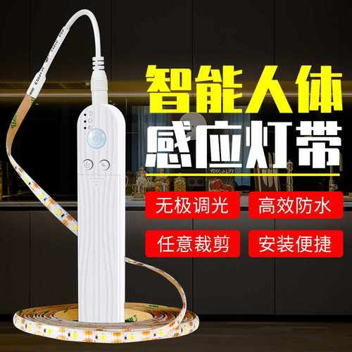 直销LED灯带 电池盒DC人体感应防水灯带 衣柜橱柜照明灯条