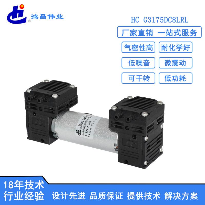 厂家微型正压泵电动双头气泵正压0.25MPa打气泵微型正压泵