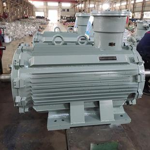 气体防爆电机YB3 445wEXDIIBT4隔爆电动机 225M