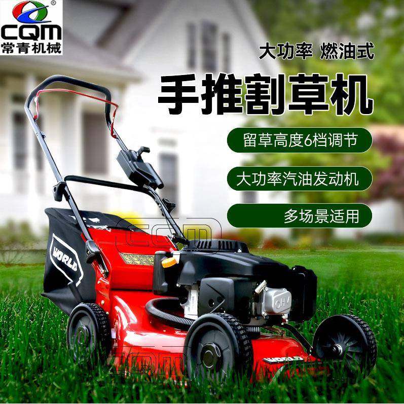 新款小型手推式割草机园林草坪修剪机自走式汽油除草机家用剪草机,农机/农具/农膜,割灌机/割草机/油锯,淘宝优惠券,粉丝福利购,淘宝优惠卷