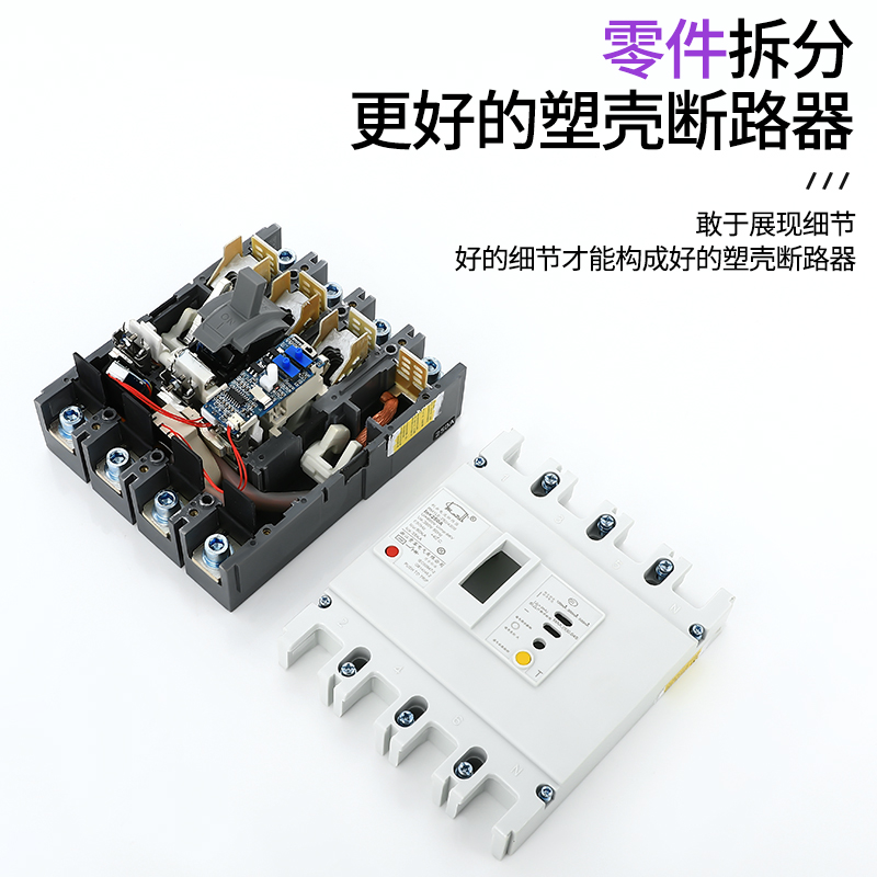 CM1LE-100A 125A 160A 225A 250A 400A 630A 3R300 4300漏电保护