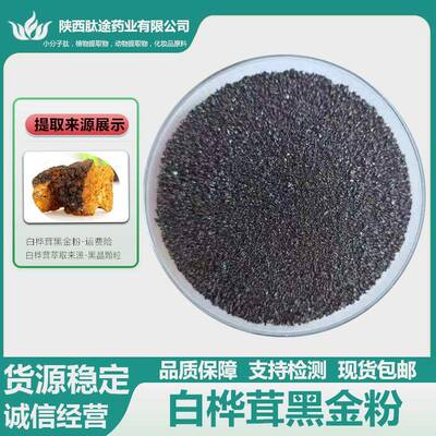 白桦茸黑金粉白桦茸提取物多糖桦褐孔菌黑晶颗粒现货免运