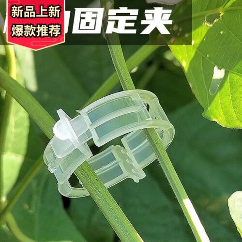 植物瓜果植物夹塑料绑蔓夹绑枝夹吊蔓夹扶蔓夹西红柿夹藤蔓固定夹