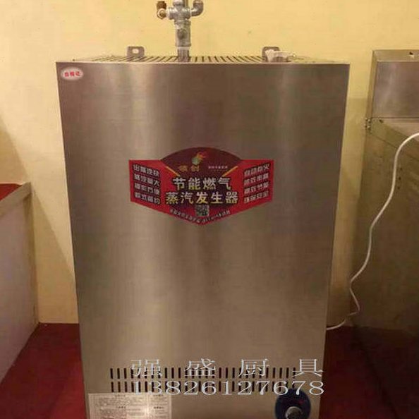 领创燃气蒸汽发生器蒸汽锅炉蒸汽机蒸汽炉豆浆豆腐机蒸酒蒸包机炉