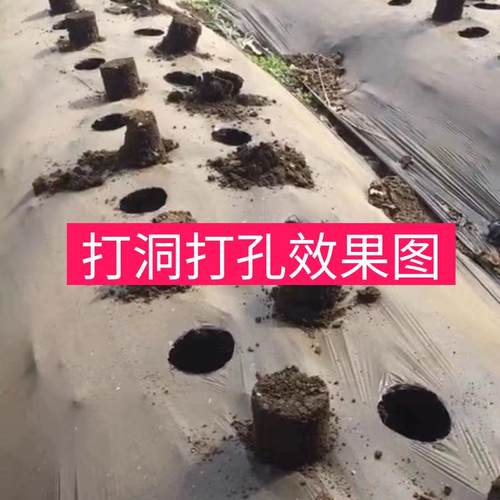 不锈钢破地膜打孔栽苗器穴盘育z苗杯打洞取土破地膜脚蹬耕种机械