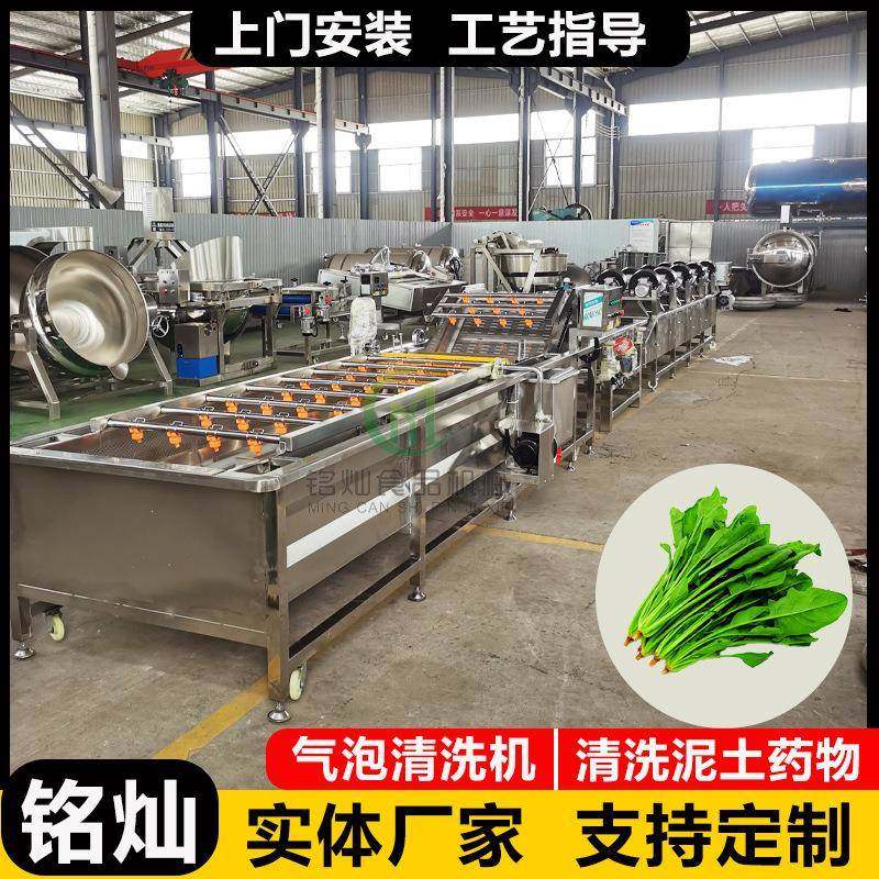 全自动气泡清洗机不伤果蔬表皮清洗机叶类蔬菜清洗设备,清洗/食品/商业设备,其他食品加工设备,淘宝优惠券,粉丝福利购,淘宝优惠卷