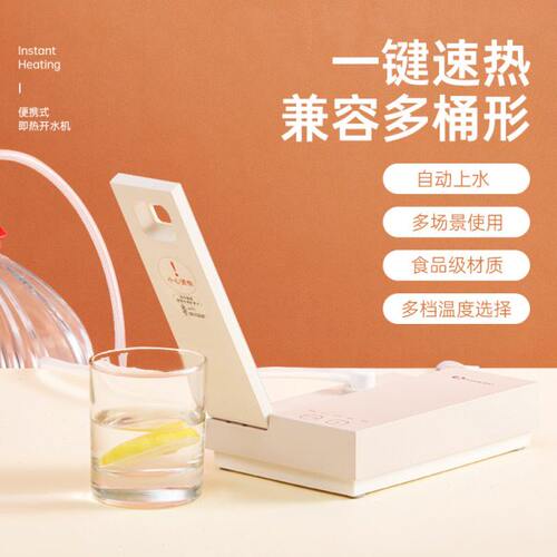 美国卓朗便携式按压式家用即热式小型电动抽水器全自动抽水取水