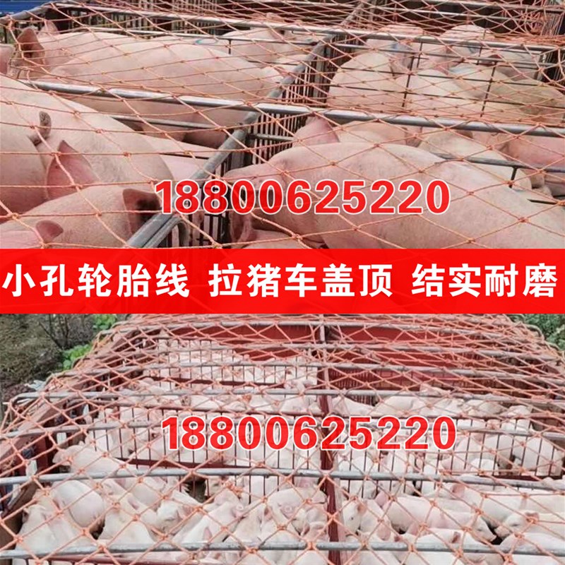 15厘米网眼轮胎丝货车网绳 拉猪网封车网罩防坠网防护网包 盖顶网