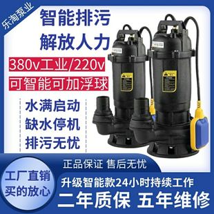 乐淘智能浮球污水泵自动启动停止排污泵家用220V380v化粪池抽水泵