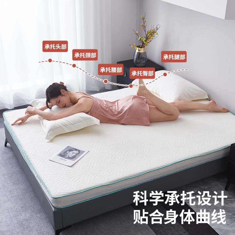高密度海绵床垫软垫加厚家用卧室宿舍F学生单人记忆棉不塌陷不变