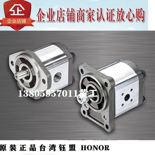 台湾钰盟HONOR齿轮泵2GG2P11R 2U 2N 2B 2F 2E 2Z 2Y 2W 2GG2P14R