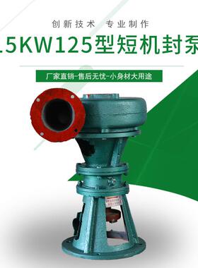 厂家直销15KW125型短机封泵顶管用泥浆泵4寸6寸双规格污水泵