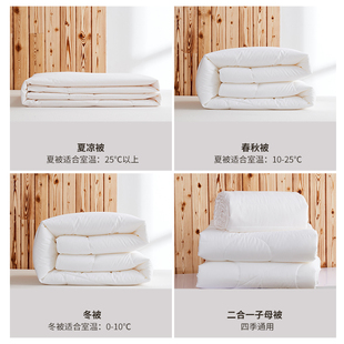堂皇家纺大豆纤维被芯全棉春秋被单双人空调被纯棉冬被子母被暖意