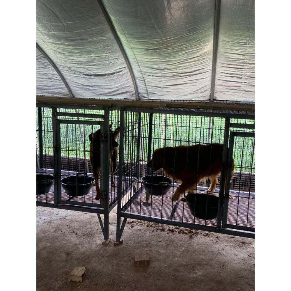 超大狗笼钢角钢焊接装配户外狗笼狗农场斗牛犬中型和大型狗笼阻力