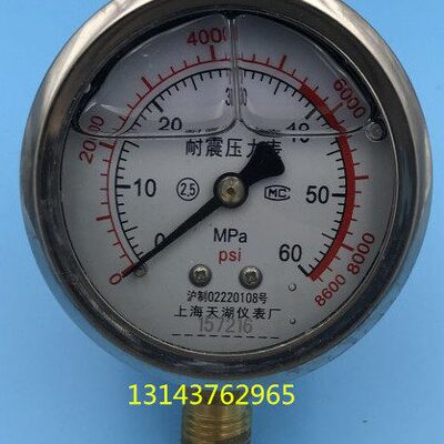 不锈钢耐震压力表YN60-60MPA 8600PSi  YTN-60 -60MPA