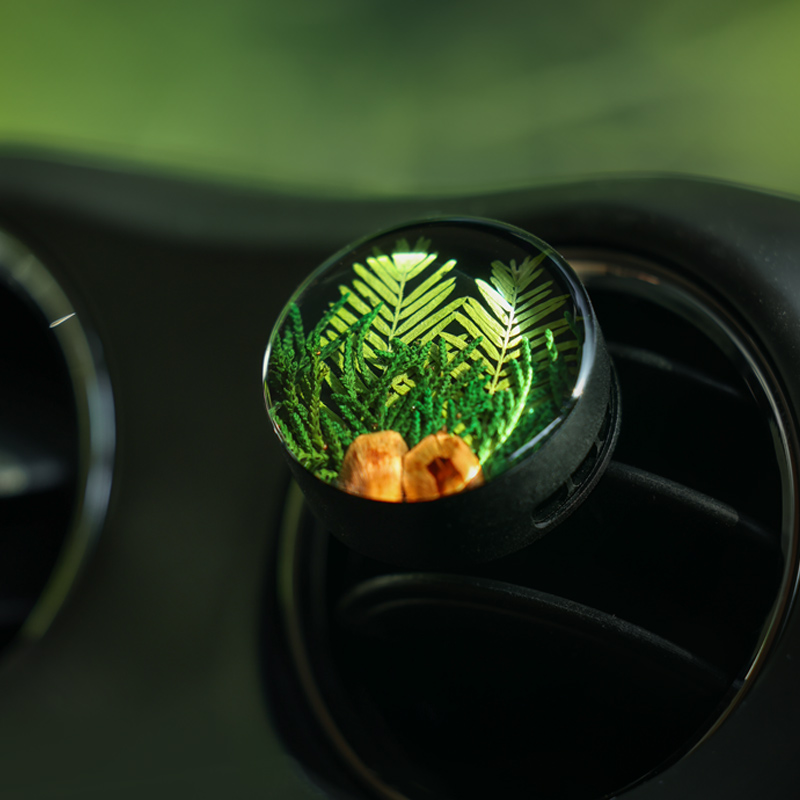 种籽造物挪威森林植物标本车载香薰出风口香氛礼盒扩香摆件礼