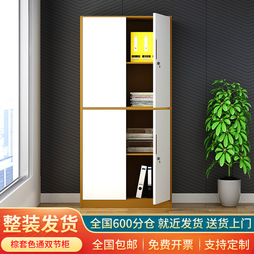 办公收纳文件柜铁皮柜资料柜财务凭证柜带锁档案柜书柜家用储物柜