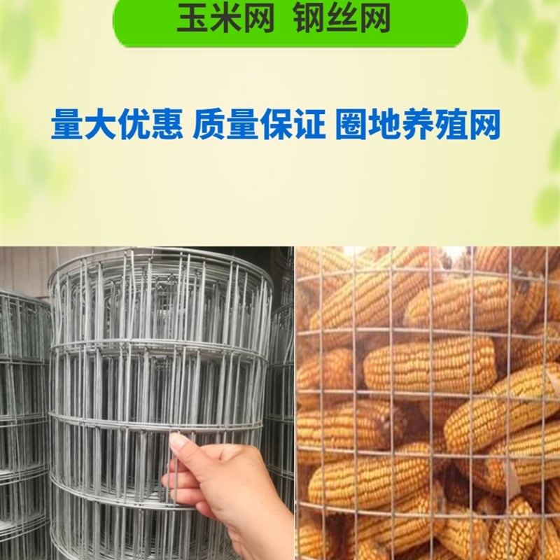 圈玉米网铁丝网围栏养殖网装玉米笼钢丝镀锌电焊网养鸡护栏防护网