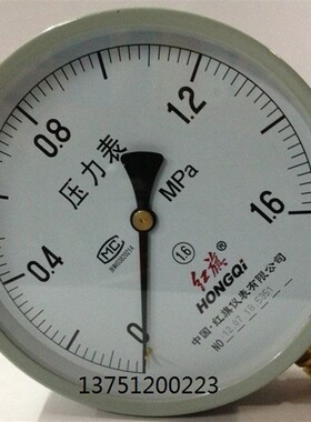 中国红旗Y-200  Y-250 压力表 锅炉压力表 水压表 螺纹M20*1.5