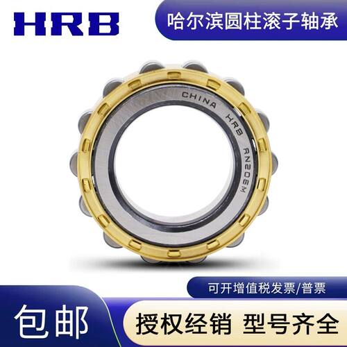 哈尔滨轴承减速机RN 304 305 306 307 308 309 310 311 312 313 M