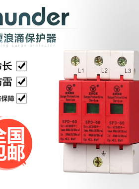 中厦浪涌家用防雷击避雷器开关电涌/泳保护器SPD60KA3P3极220vB级