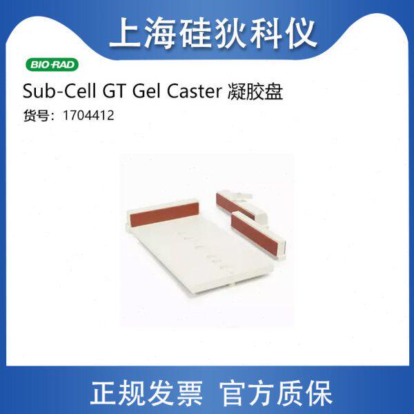 Sub-Cell GT Gel Caster #1704412制胶盘伯乐凝胶盘
