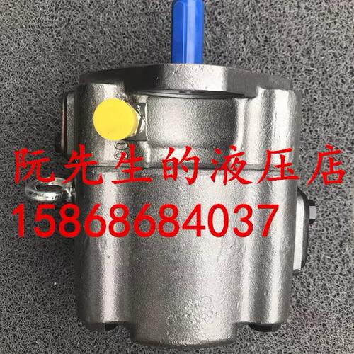 伺服油泵ABT22T-80-80-1R01-D1 ABT1T-40-1R01-C1