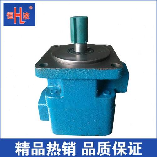 泰兴恒力厂家直供YB1-25系列叶片泵 低压机床定量叶片泵 定量泵头