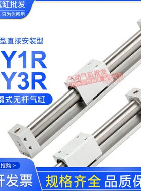 CY1RG CY3R40-50-63-100-150-200-250-300-400-450-600-700-800N