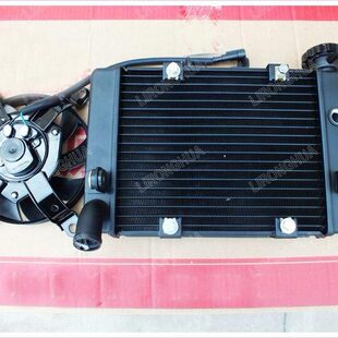 原厂蓝宝龙 BJ300GS 302S 水箱风扇总成 小黄龙BN302