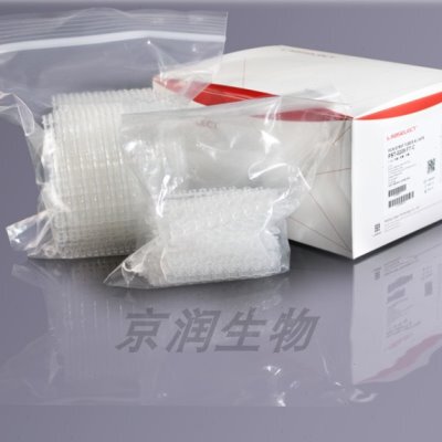 甄选LABSELECT八联管0.2ml八排管 PCR反应管八联管PST-0208-FT-CB
