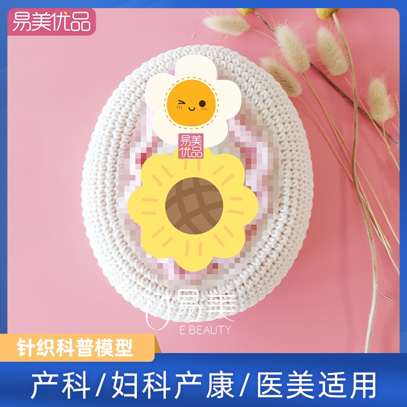 产康科普教具女性针织妹妹模型妇科医学生殖解剖医患沟通美容会所