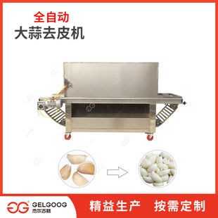 生产厂家 电动大蒜子全自动去皮机 连续大蒜脱皮机器 大蒜去皮机