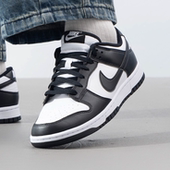 HF5441 正品 202 新款 百搭拼接户外运动休闲板鞋 耐克NIEK男款 秋季