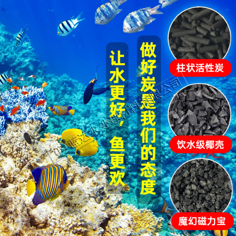 鱼缸活性炭过滤材料去黄水除腥臭异味浑浊滤槽鱼池净化椰壳磁力宝