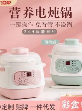 电炖锅智能预约多功能熬粥煲汤电炖盅家用炖煮小型隔水炖汤盅
