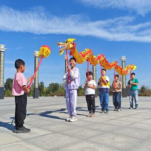 儿童舞龙学校师生幼儿园多人棍子龙头节目表演道具健身龙带甩彩带